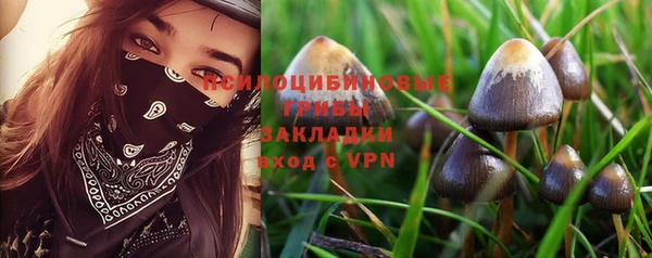 МДПВ Абинск