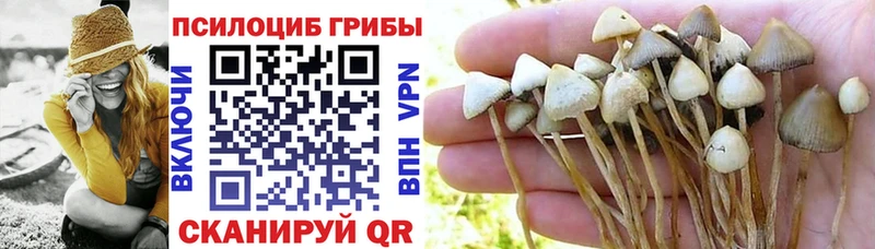 Галлюциногенные грибы ЛСД Нальчик