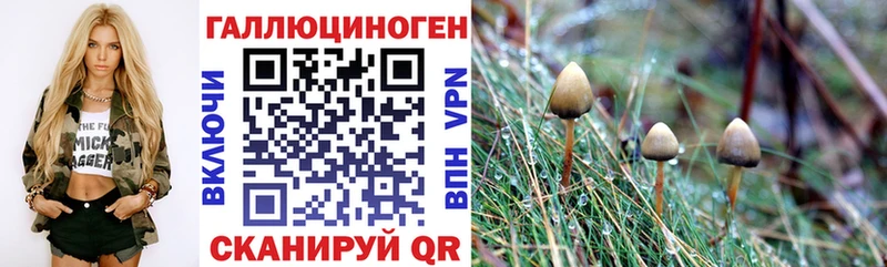 Псилоцибиновые грибы мухоморы  наркота  Нальчик 