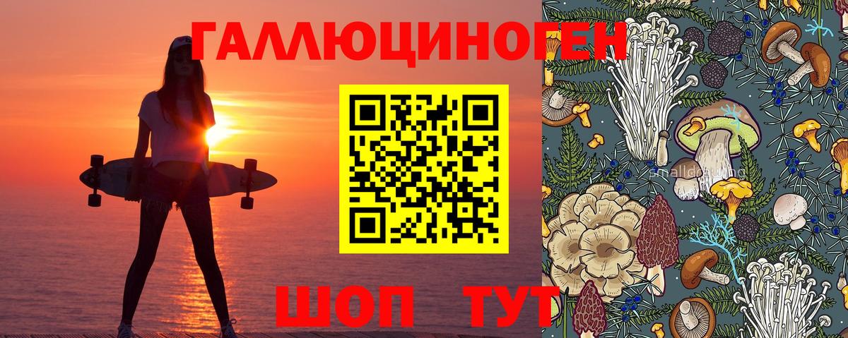 Нальчик  Псилоцибиновые грибы мухоморы  Вход с VPN  Галлюциногенные грибы Cubensis 