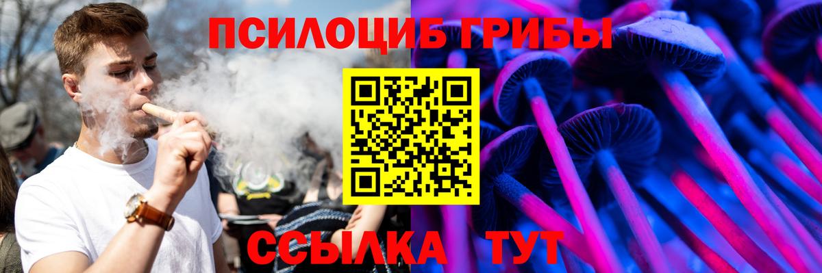 Псилоцибиновые грибы Cubensis Нальчик
